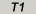 Type One
